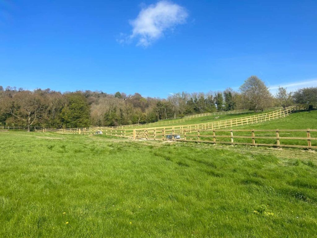 This is a photo of parallel post and rail fencing installed approximately 2 metres apart separating two areas of a field, creating a walk way, and also single post and rail fencing installed around the perimeter of each field. All works carried out by Fast Fix Fencing