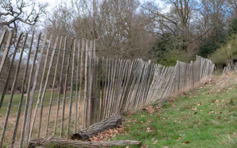 This is a photo of a fence that needs repair